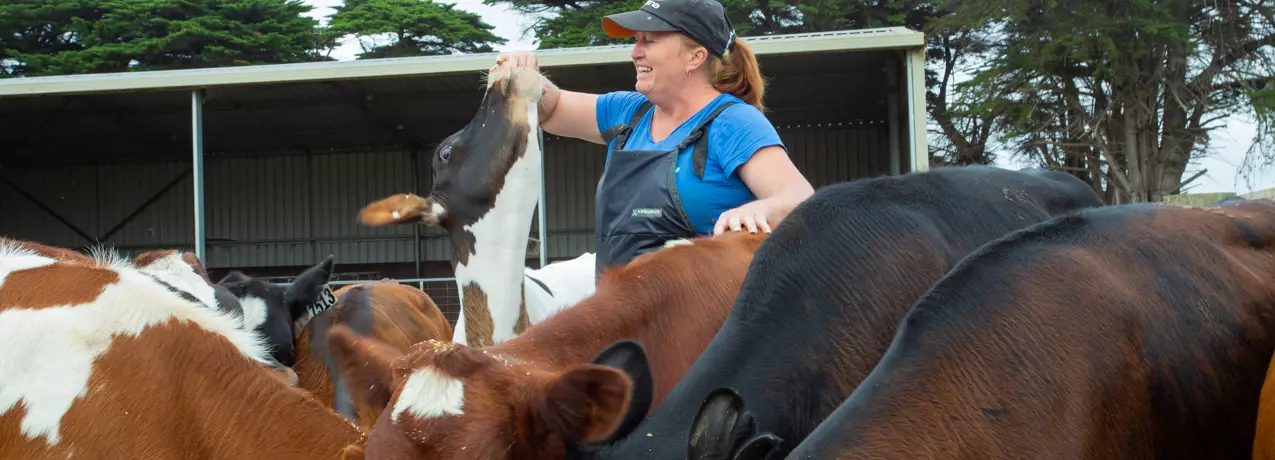 Marika Austin working with cattle