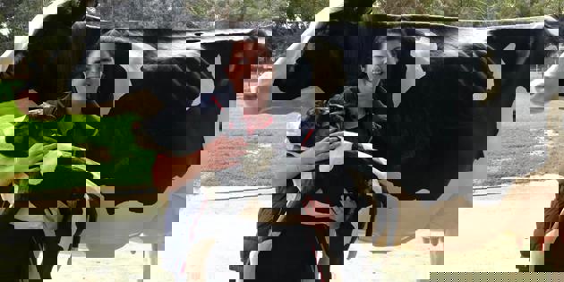 Cow simulator exclusive to South West TAFE